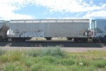 FMLX 52203
